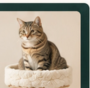 Cat resting in PetNordy woven bed